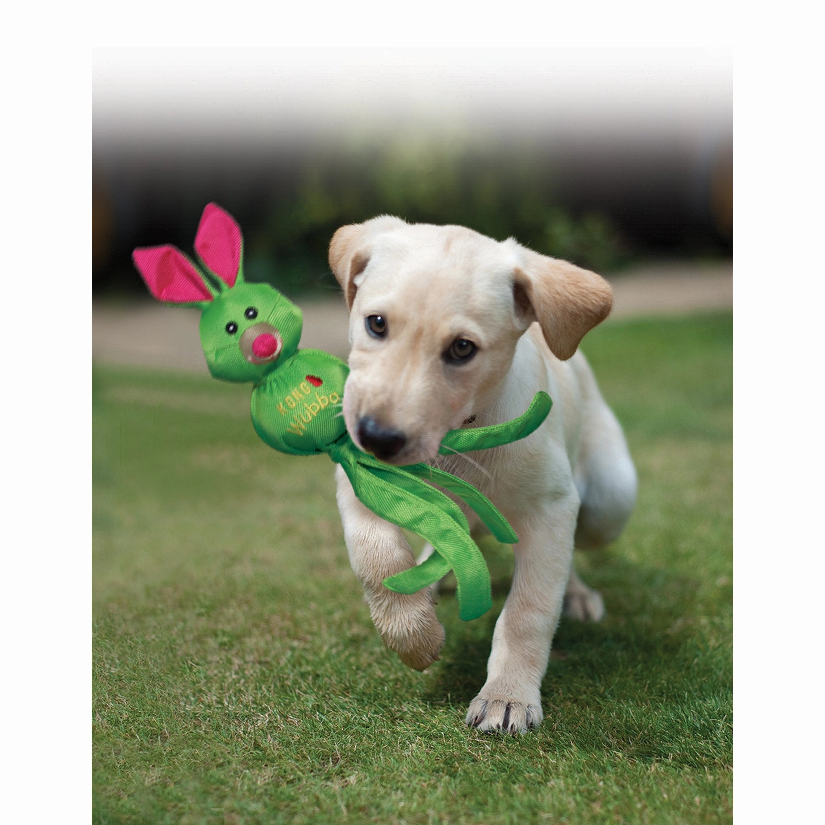 KONG Wubba Friends Extra Large Dog Toy ($)($)