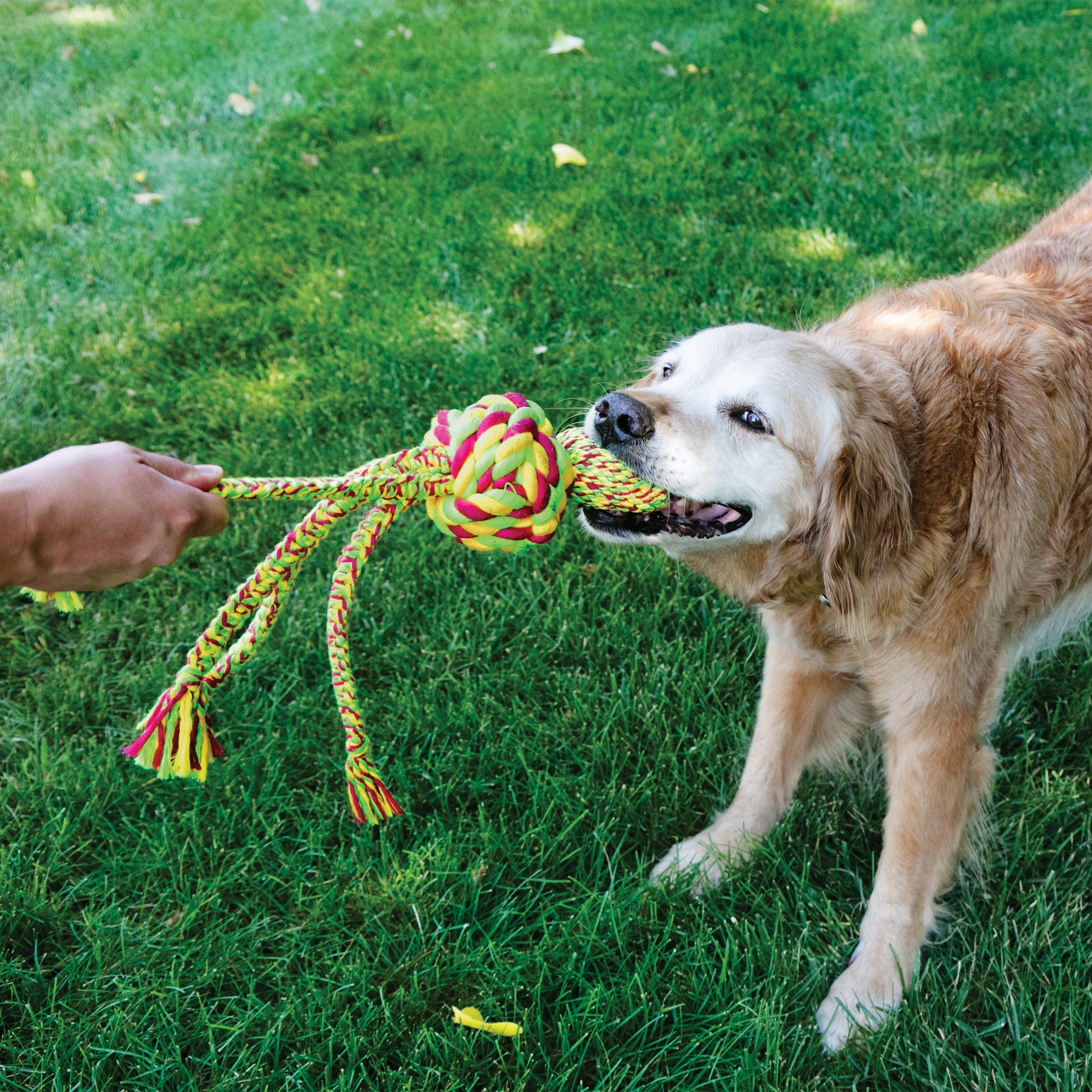 KONG Wubba Weaves With Rope Extra Large Dog Toy ($)($)
