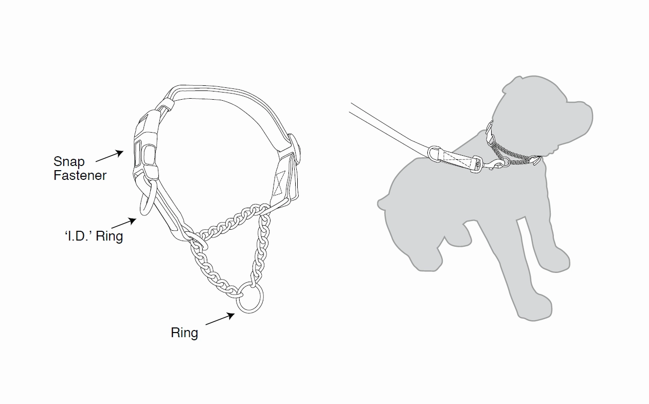 Kumfi - Kombi Martingale Collar (X-Small)