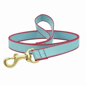 Leash | Aqua & Coral