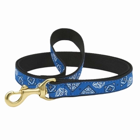Leash | Blue Bandana
