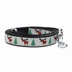 Leash | Buffalo Moose