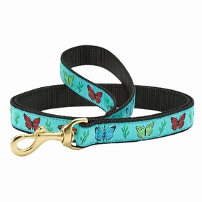 Leash | Butterfly Effect