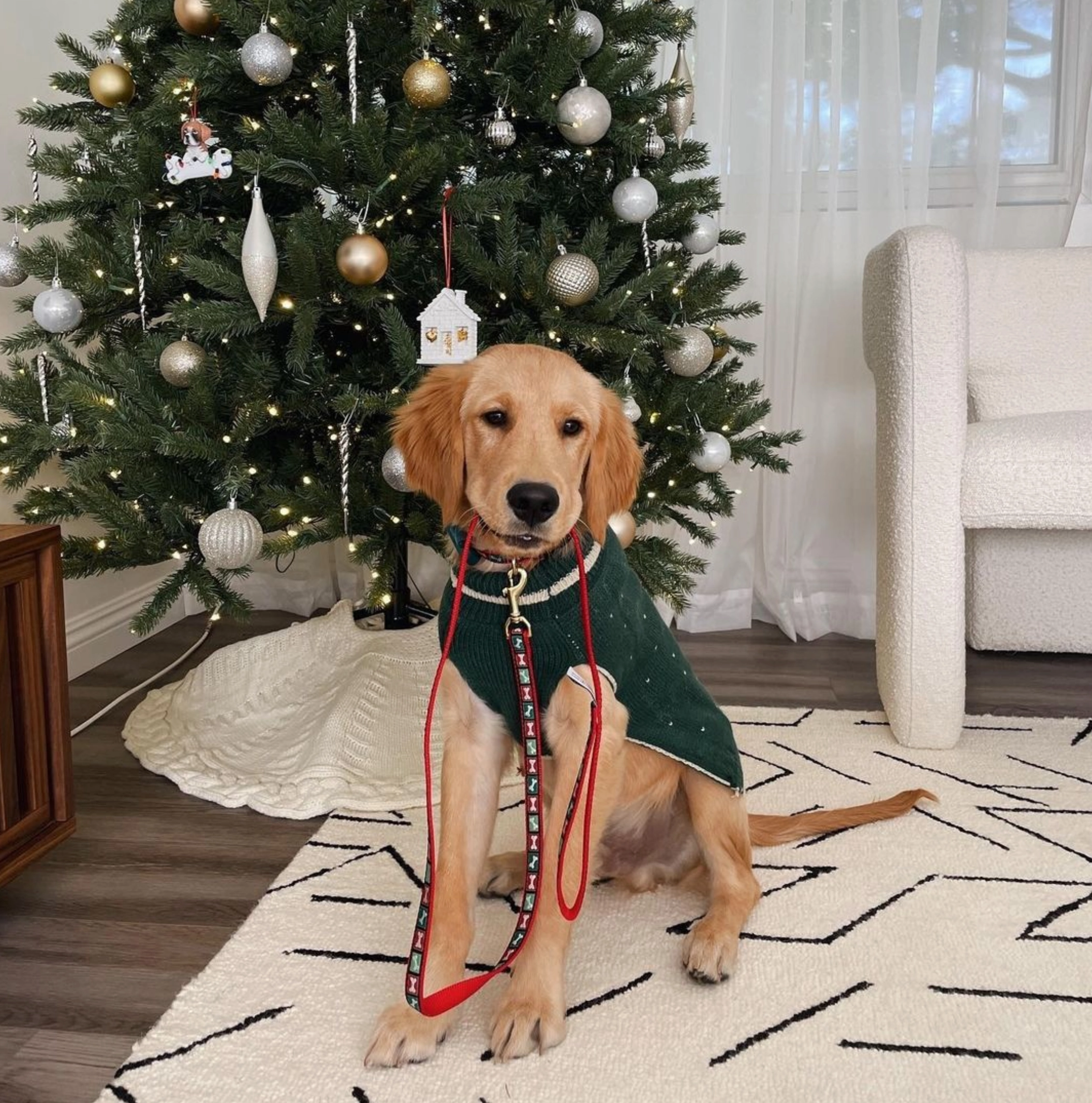 Leash | Christmas Bones