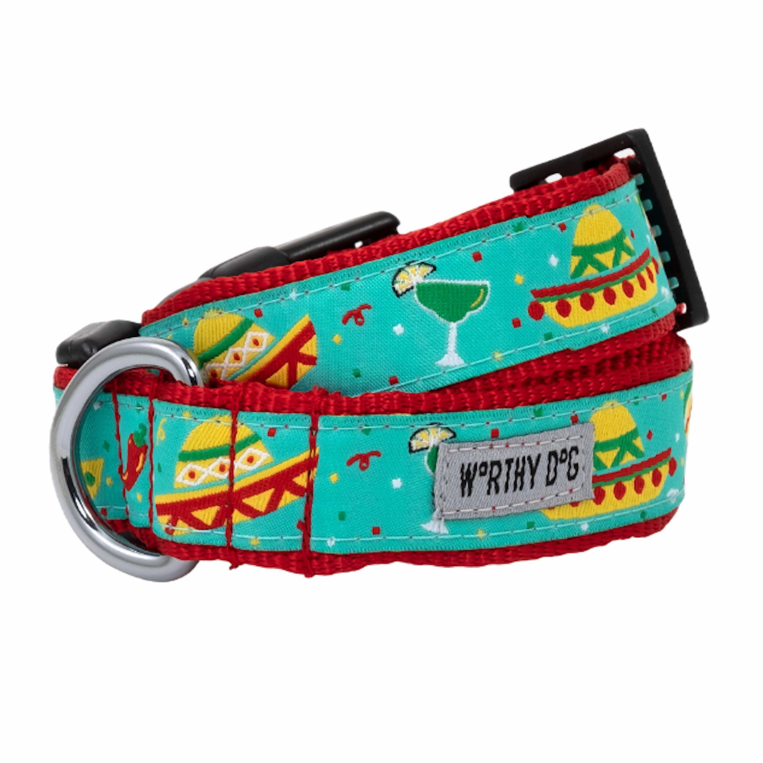 Leash | Cinco De Mayo Fiesta