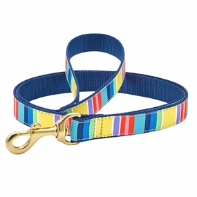 Leash | Colorful Stripes