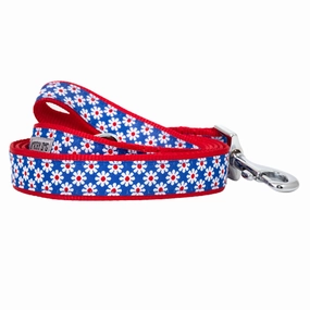 Leash | Daisies