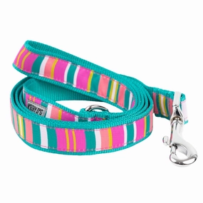 Leash | Fiesta Stripe