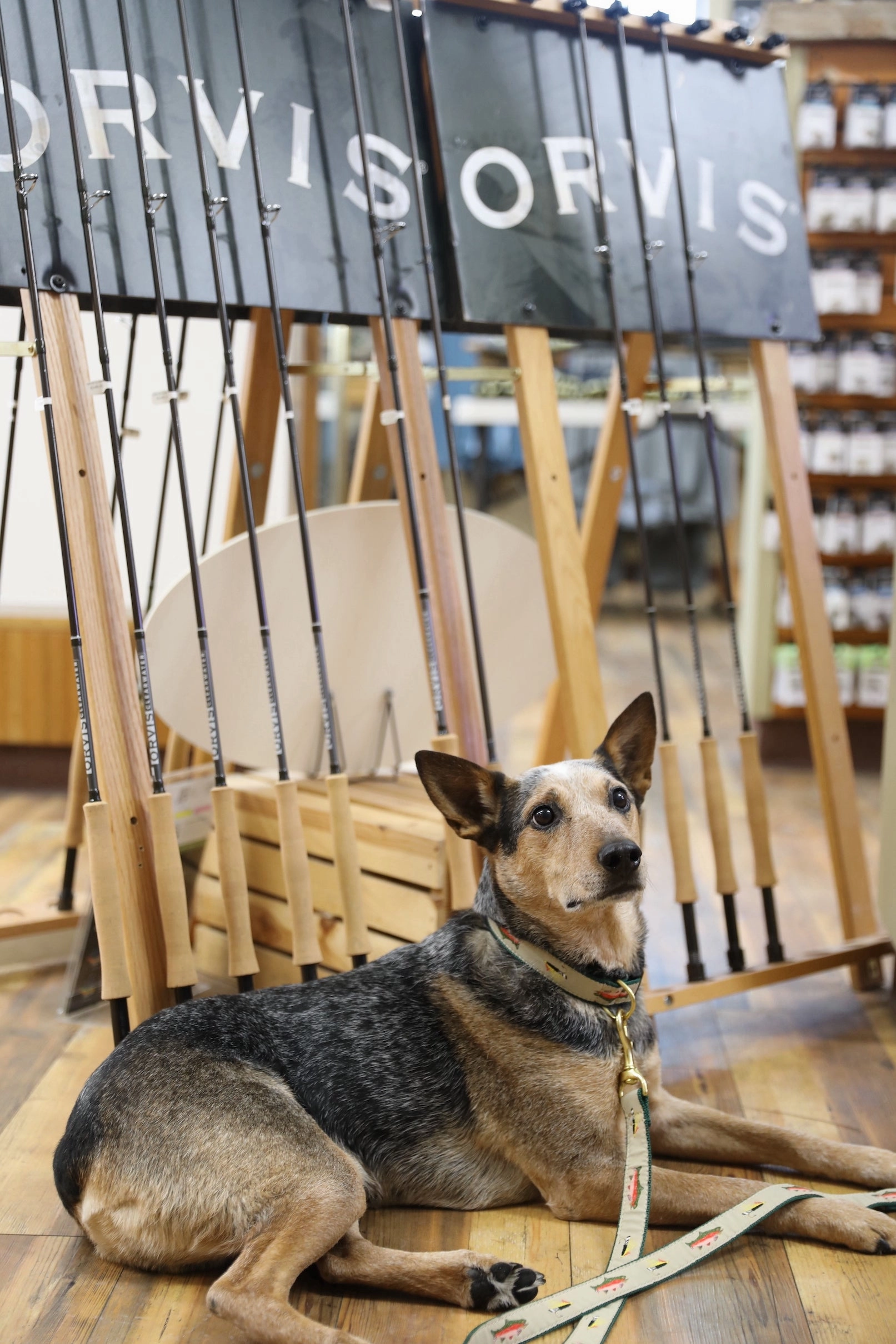 Leash | Fly Fishing