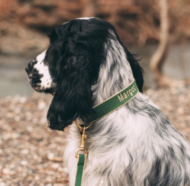 Leash | Forest & Tan