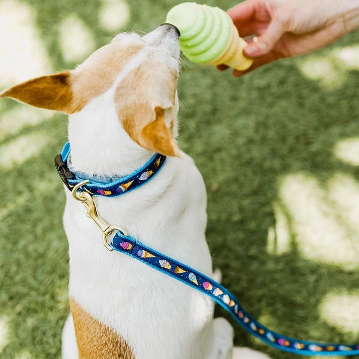 Leash | Ice Cream