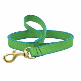 Leash | Lime & Aqua