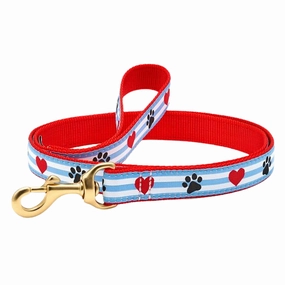 Leash | Pawprint Stripes