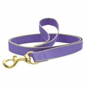 Leash | Purple & Gray
