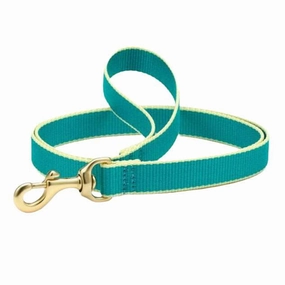 Leash | Teal & Yellow