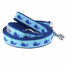 Leash | Whales