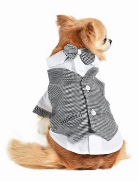License to Chill Tux