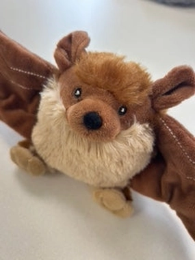 Lightning Dog Wing Dingers Fruit Bat Plush Dog Toy