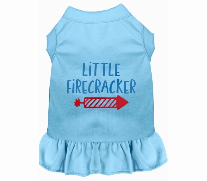 Little Firecracker Outfit