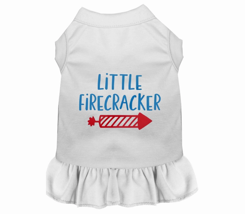 Little Firecracker Outfit