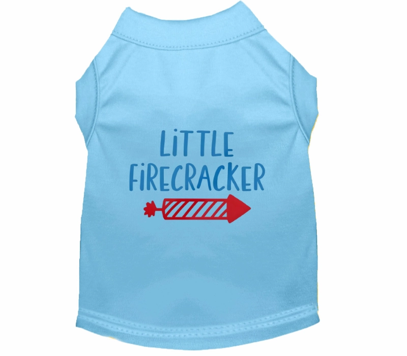 Little Firecracker Outfit