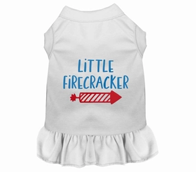 Little Firecracker Outfit