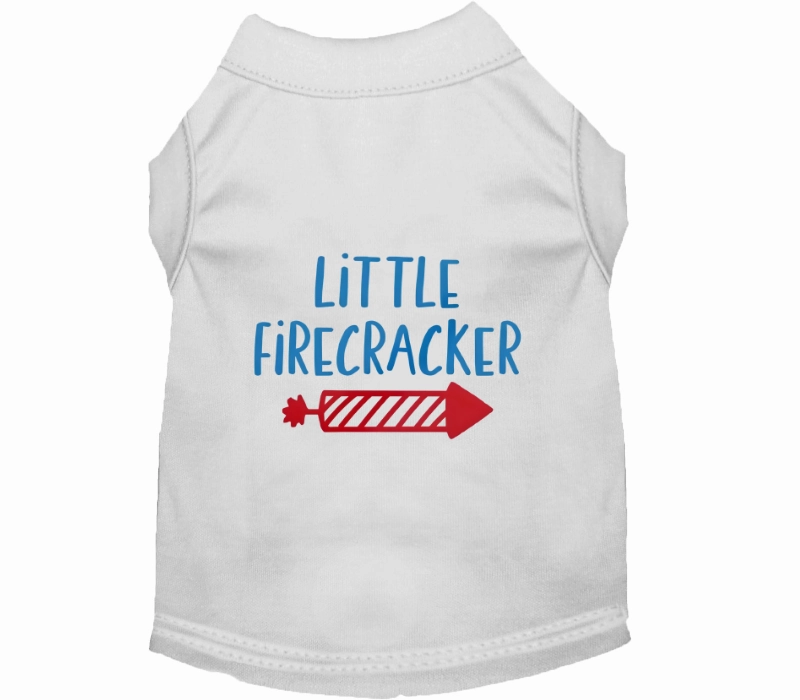 Little Firecracker Outfit