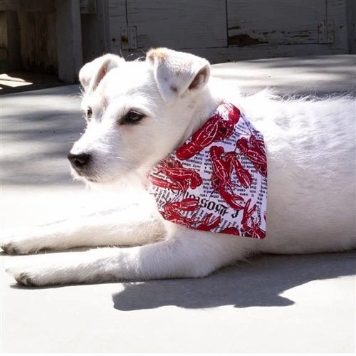 Lobster Fest! Dog Bandana
