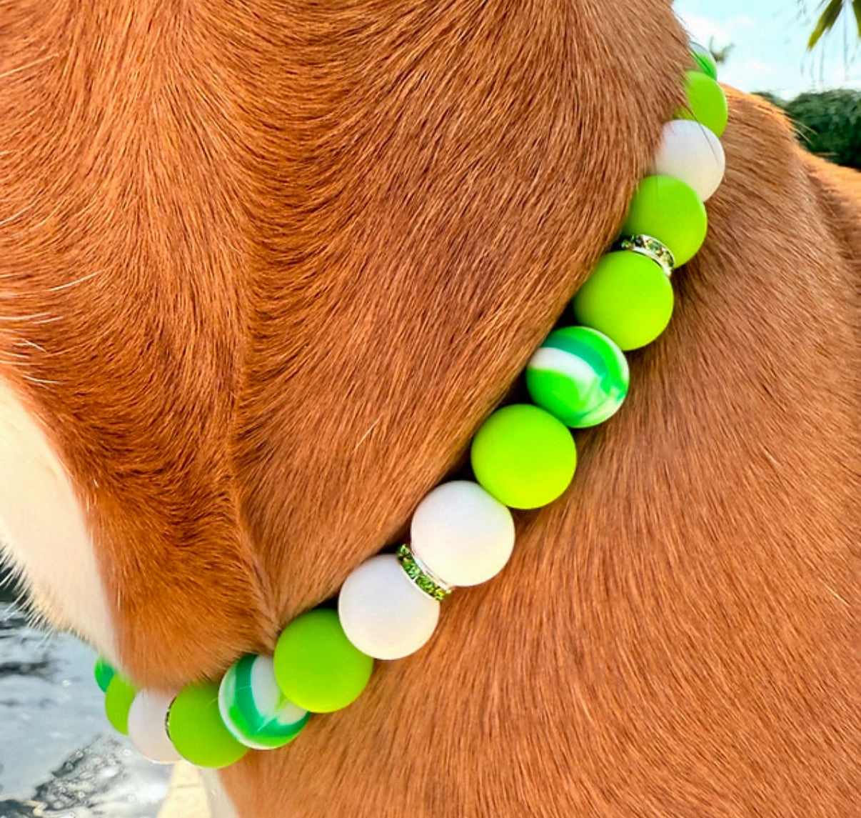 Lucky Charm Beaded Collar