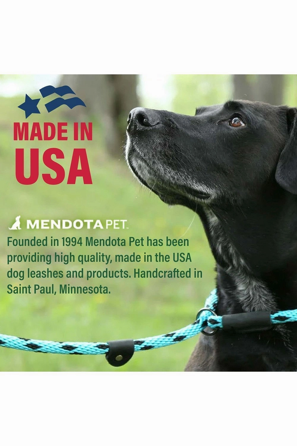 Mendota Pet Slip Leash 1/2" X 6'