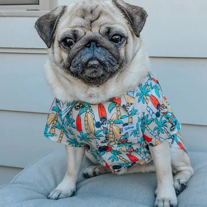 Mickey Mouse Dog Hawaiian Shirt