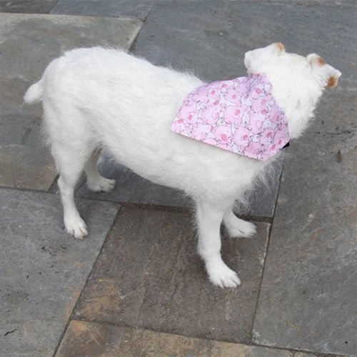 Miss Piggy Dog Bandana