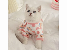 Miss Xiongxiong Four Legged Belly Protection Powder