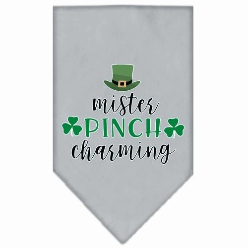 Mister Pinch Charming Screen Print Bandana in Many Colors