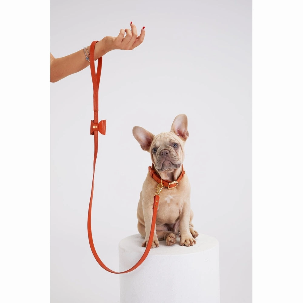 Moshiqa Bisou Leather Dog Leash (Pink)
