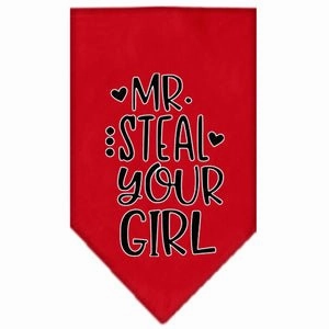 Mr. Steal Your Girl Screen Print Bandana in Many Colors
