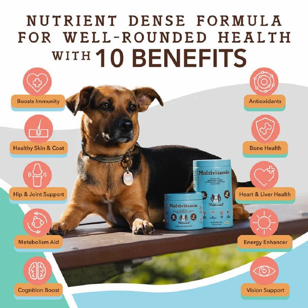 Multivitamin Supplement for Dogs