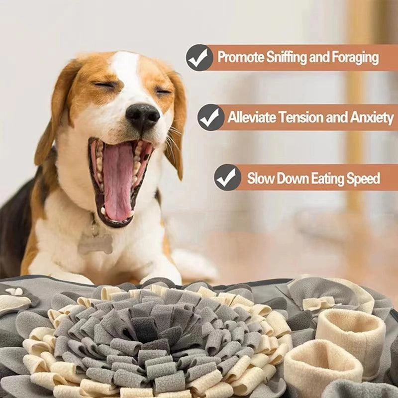 New Pet Treat Puzzle Mat