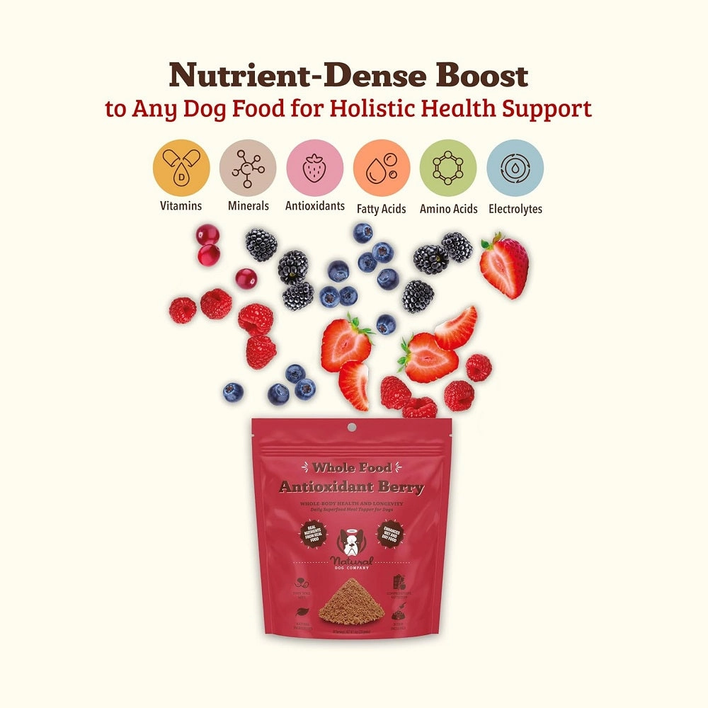 Nutrient-Dense Boost - Antioxidant Berry Dog Meal Topper