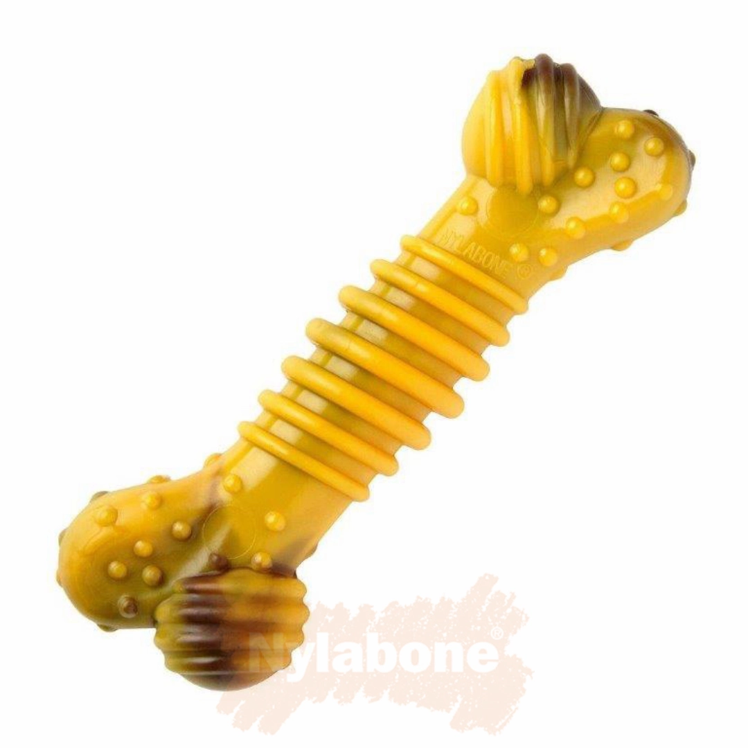 Nylabone Extreme Beef & Cheese Bone