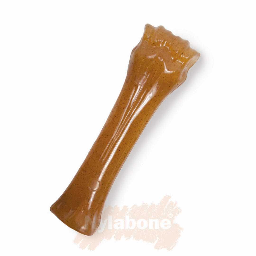 Nylabone Puppy Bone XL