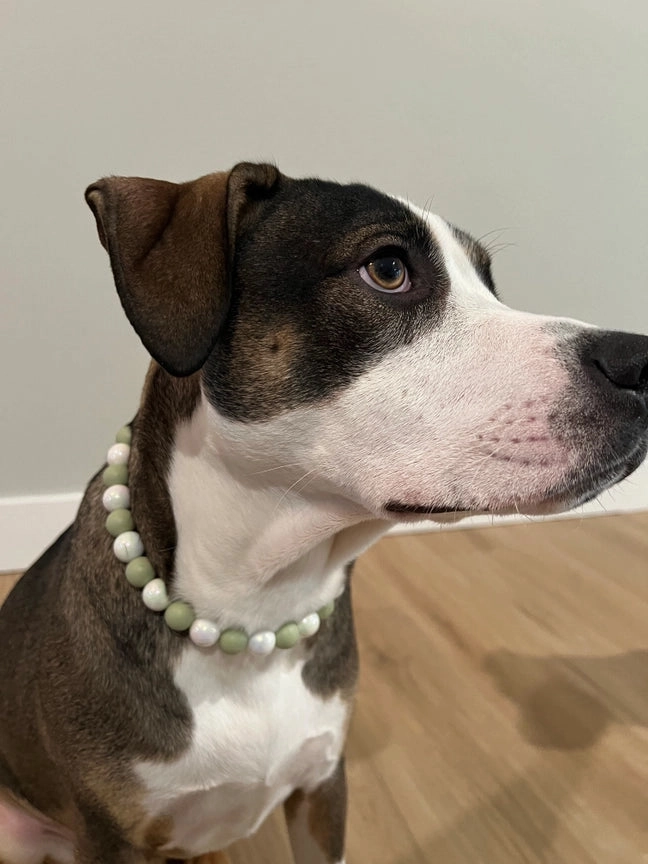 Olive Dainty Collective Beaded Collar