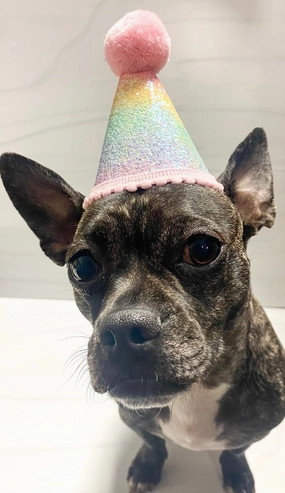 Ombr Sparkle Party Hat