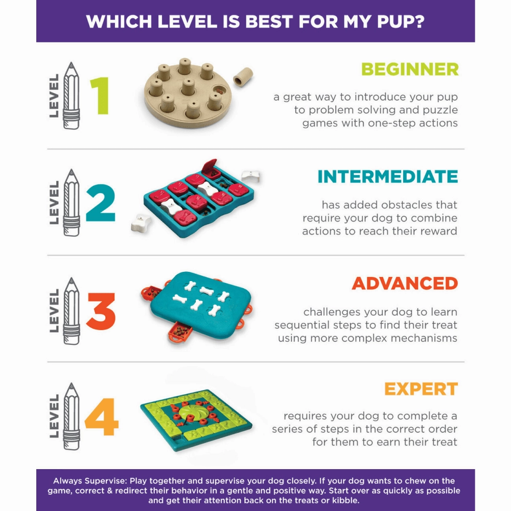 Outward Hound Nina Ottosson Treat Maze Puzzle for Dogs (Level 2 Intermediate)