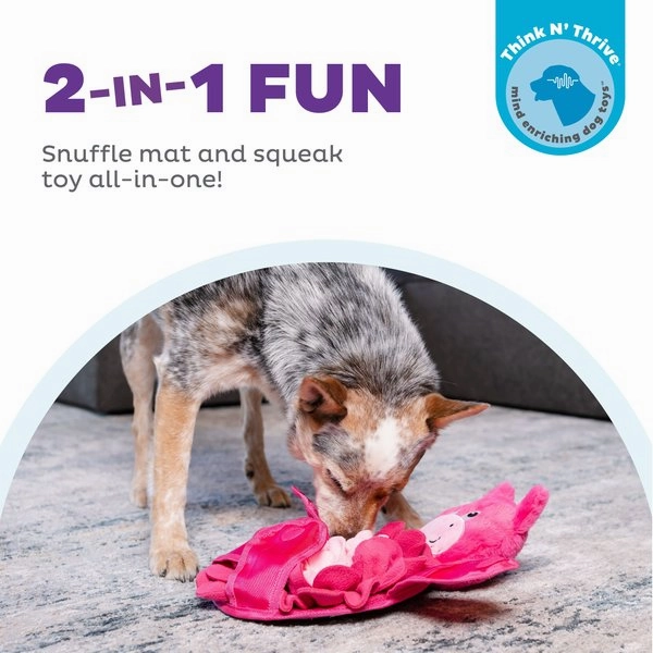 Outward Hound Snuffle Palz Interactive Plush Pig Puzzle & Snuffle Mat Dog Toy