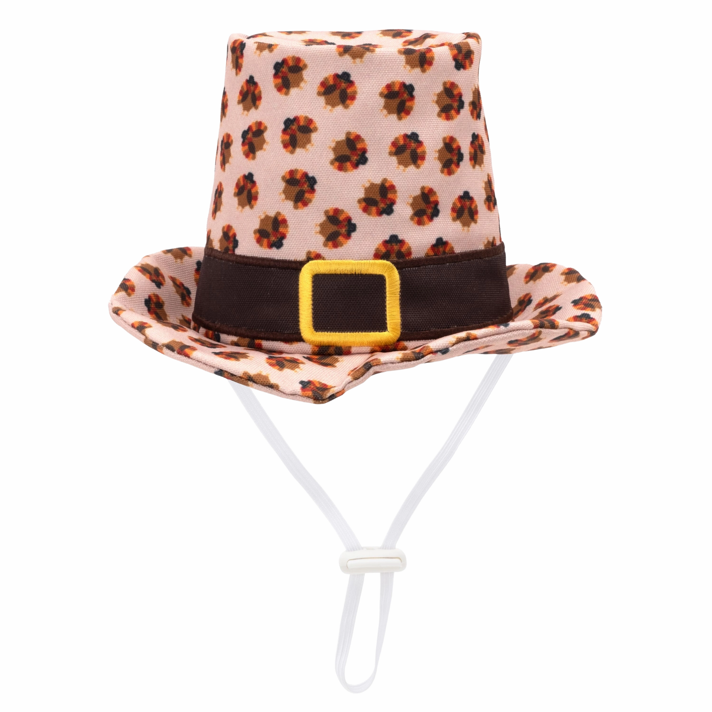 Party Hat | Pilgrim Turkey