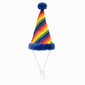 Party Hat | Pride