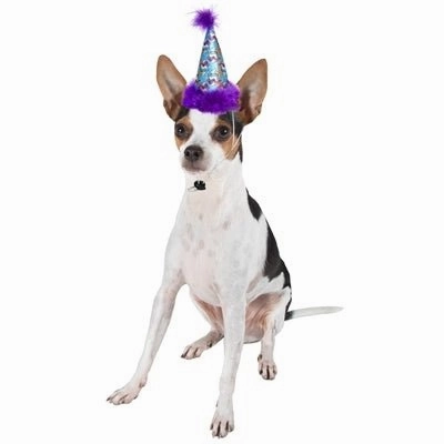 Party Time Magic Unicorn Hat