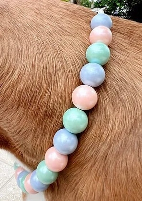 Pastel Glam Pet Collar