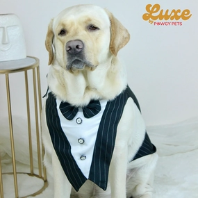 Pawgypets Luxe Stripe Bowtie Tuxedo for Dogs and Cats (Black)